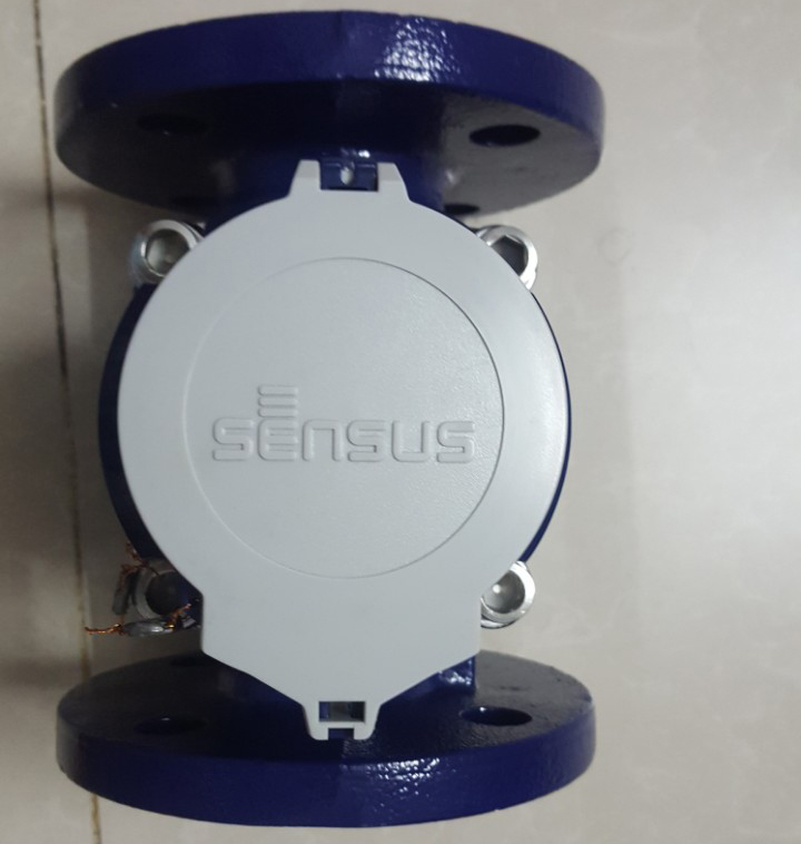 đồng hồ đo nước Sensus