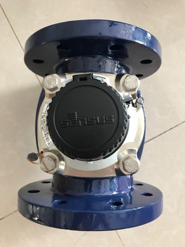 Đồng hồ nước Sensus DN50 lắp ống phi 60mm
