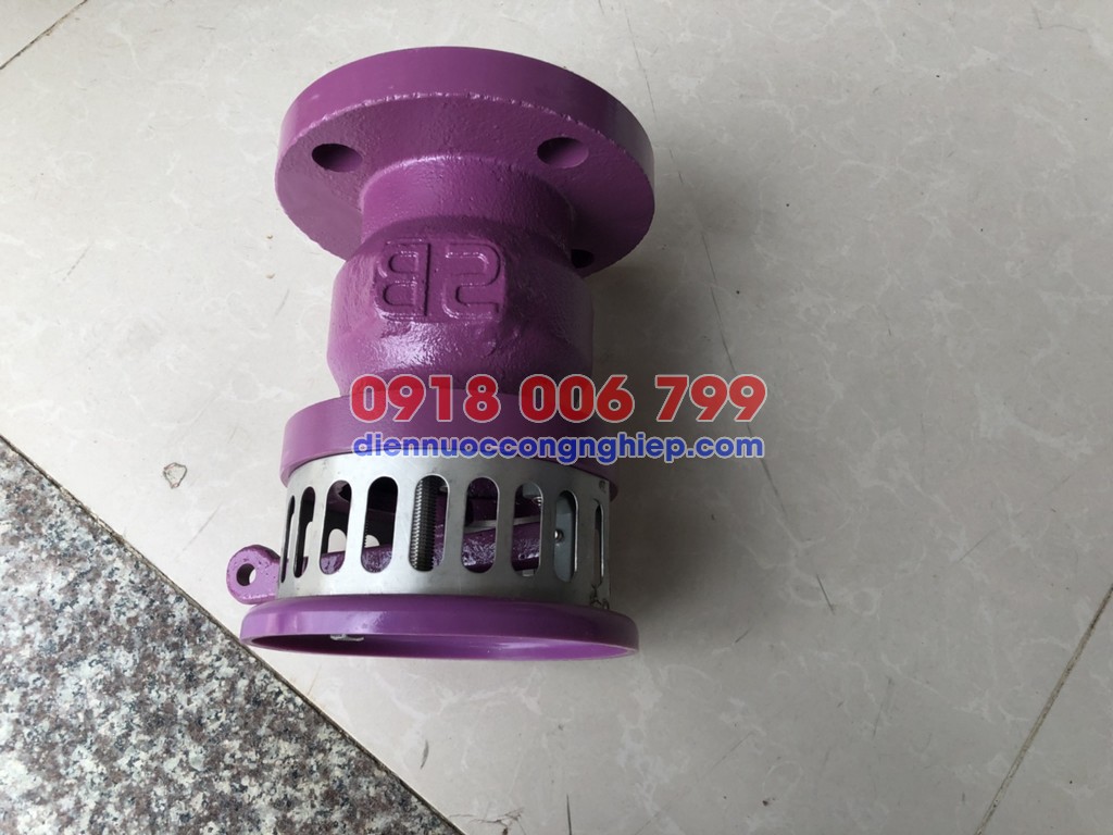 Van rọ bơm SB Đài Loan (Foot valve SB, Luppe SB, Rọ hút SB)