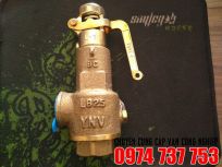Van an toàn (Safety valve) YNV