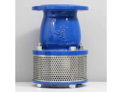  Rọ Bơm Gang Chống Ăn Mòn, Chất Lượng Cao