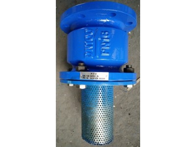 Rọ hút inox chống rỉ DN100, DN150, DN200