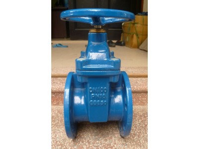 Van Cổng Gang DN100 - Chất Liệu Gang, Chịu Áp Lực Cao