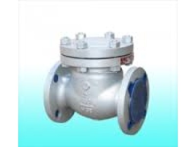 Van một chiều lá lật inox DN100