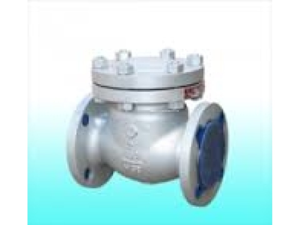 Van một chiều lá lật inox DN100 image