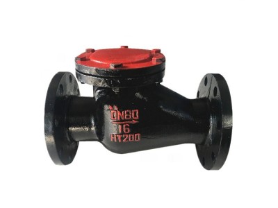 Van một chiều gang H44T-10, swing check, PN10