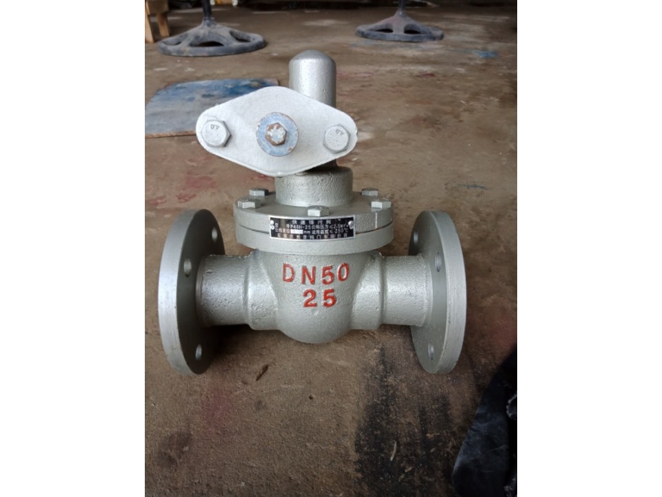  Van Xả Đáy Gang, Inox, Thép - Thiết Bị Xả Cặn Hiệu Quả image